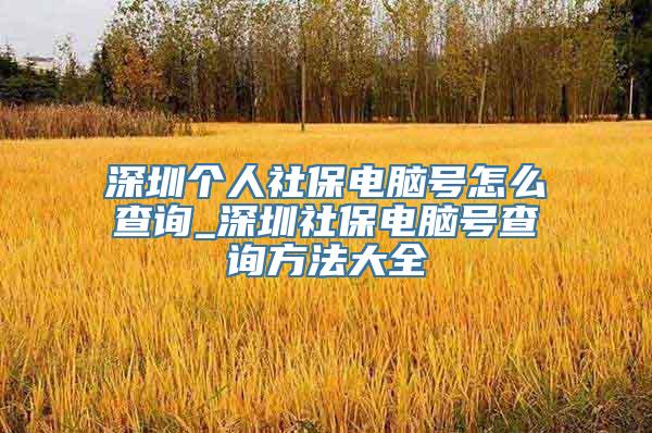 深圳个人社保电脑号怎么查询_深圳社保电脑号查询方法大全