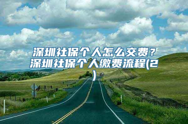 深圳社保个人怎么交费？深圳社保个人缴费流程(2)