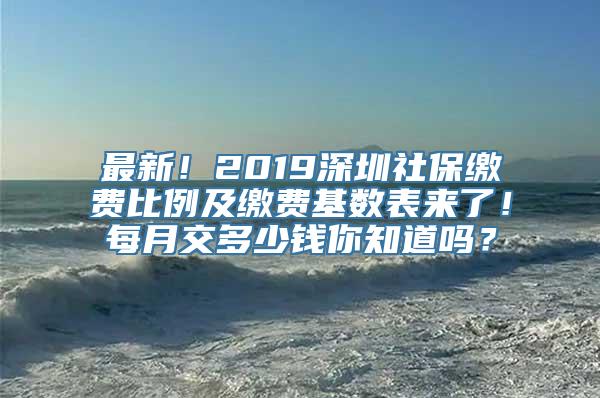 最新！2019深圳社保缴费比例及缴费基数表来了！每月交多少钱你知道吗？