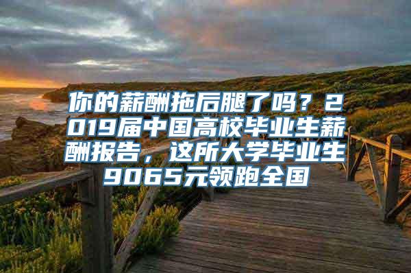 你的薪酬拖后腿了吗？2019届中国高校毕业生薪酬报告，这所大学毕业生9065元领跑全国