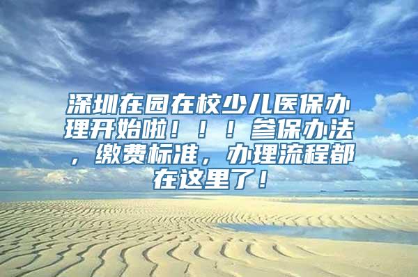 深圳在园在校少儿医保办理开始啦！！！参保办法，缴费标准，办理流程都在这里了！