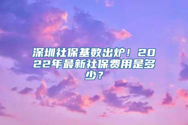 深圳社保基数出炉！2022年最新社保费用是多少？