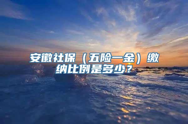 安徽社保（五险一金）缴纳比例是多少？