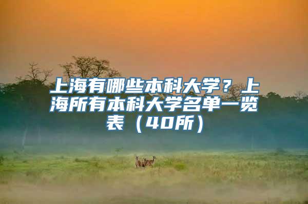 上海有哪些本科大学？上海所有本科大学名单一览表（40所）