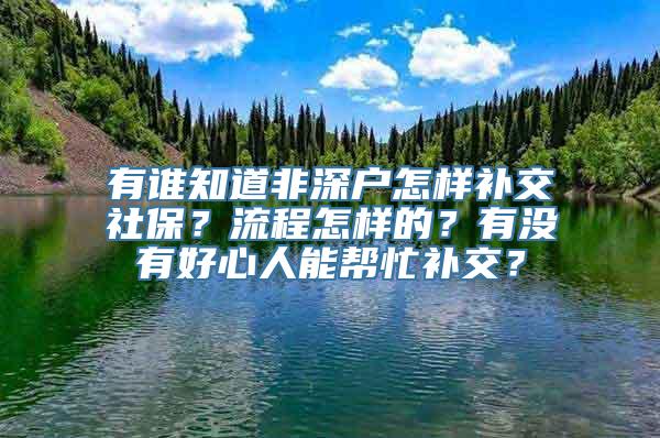 有谁知道非深户怎样补交社保？流程怎样的？有没有好心人能帮忙补交？