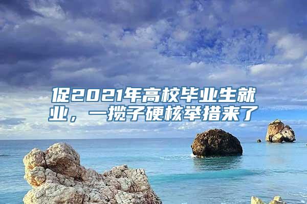 促2021年高校毕业生就业，一揽子硬核举措来了