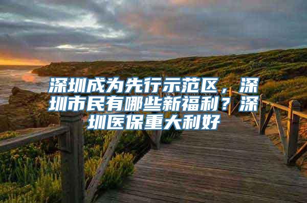 深圳成为先行示范区，深圳市民有哪些新福利？深圳医保重大利好