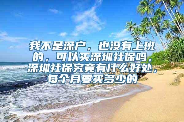 我不是深户，也没有上班的，可以买深圳社保吗，深圳社保究竟有什么好处，每个月要买多少的