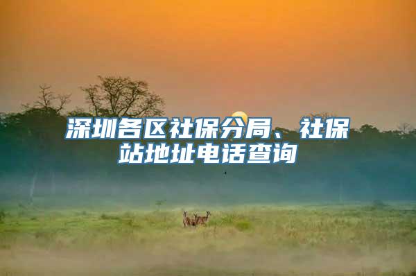 深圳各区社保分局、社保站地址电话查询