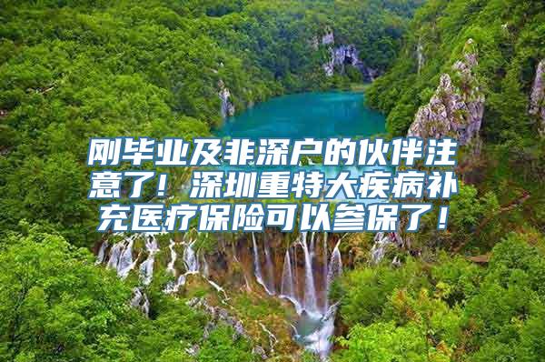 刚毕业及非深户的伙伴注意了! 深圳重特大疾病补充医疗保险可以参保了！