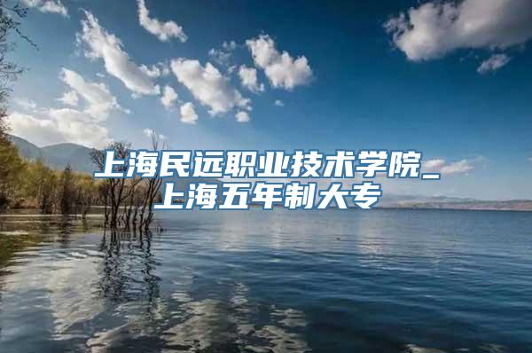 上海民远职业技术学院_上海五年制大专