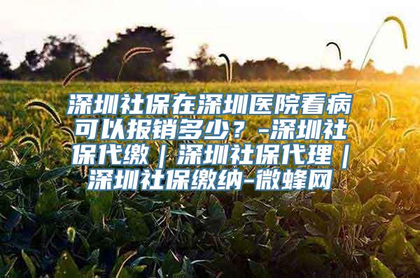 深圳社保在深圳医院看病可以报销多少？-深圳社保代缴｜深圳社保代理｜深圳社保缴纳-微蜂网