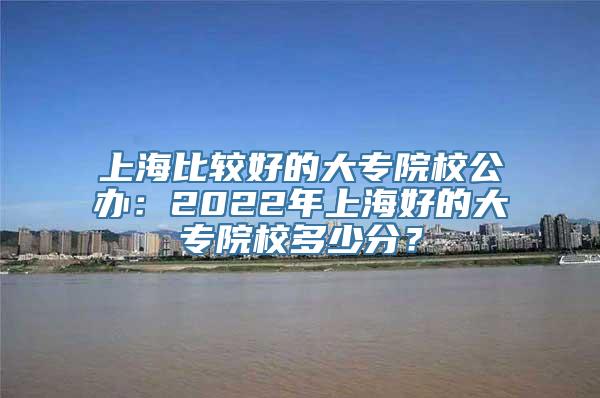 上海比较好的大专院校公办：2022年上海好的大专院校多少分？