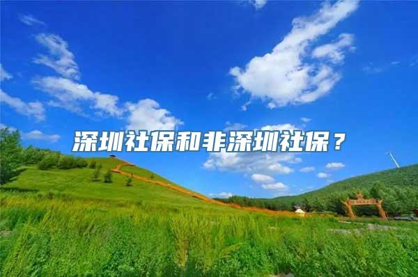 深圳社保和非深圳社保？