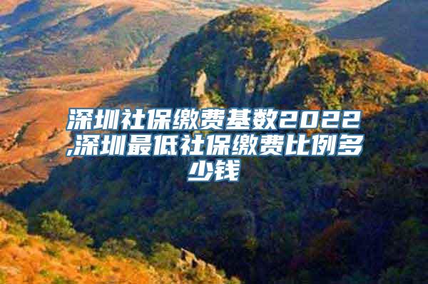 深圳社保缴费基数2022,深圳最低社保缴费比例多少钱