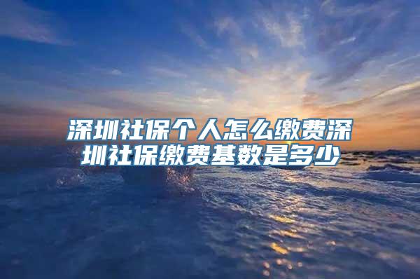 深圳社保个人怎么缴费深圳社保缴费基数是多少