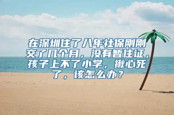 在深圳住了八年社保刚刚交了几个月，没有暂住证，孩子上不了小学，揪心死了，该怎么办？