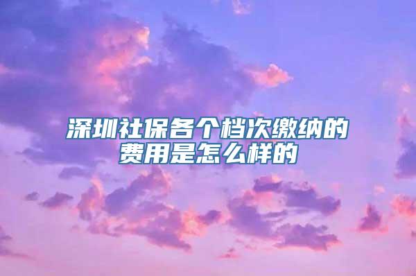 深圳社保各个档次缴纳的费用是怎么样的