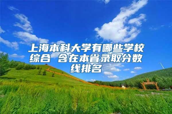 上海本科大学有哪些学校综合 含在本省录取分数线排名