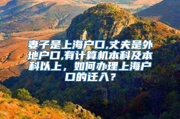 妻子是上海户口,丈夫是外地户口,有计算机本科及本科以上，如何办理上海户口的迁入？