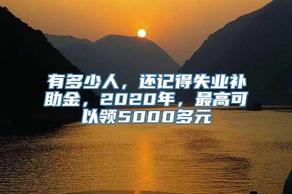 有多少人，还记得失业补助金，2020年，最高可以领5000多元