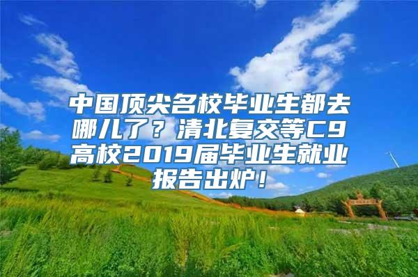 中国顶尖名校毕业生都去哪儿了？清北复交等C9高校2019届毕业生就业报告出炉！