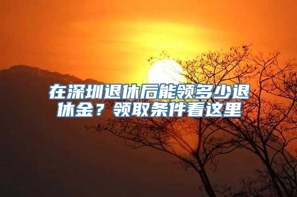 在深圳退休后能领多少退休金？领取条件看这里