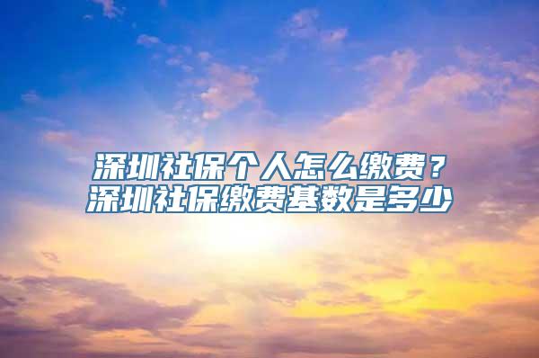 深圳社保个人怎么缴费？深圳社保缴费基数是多少