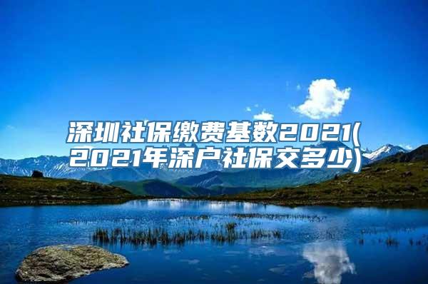 深圳社保缴费基数2021(2021年深户社保交多少)