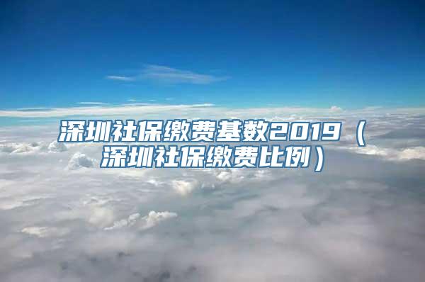 深圳社保缴费基数2019（深圳社保缴费比例）