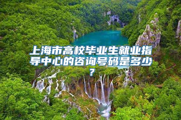 上海市高校毕业生就业指导中心的咨询号码是多少？