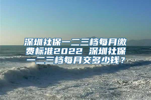 深圳社保一二三档每月缴费标准2022 深圳社保一二三档每月交多少钱？