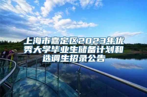 上海市嘉定区2023年优秀大学毕业生储备计划和选调生招录公告