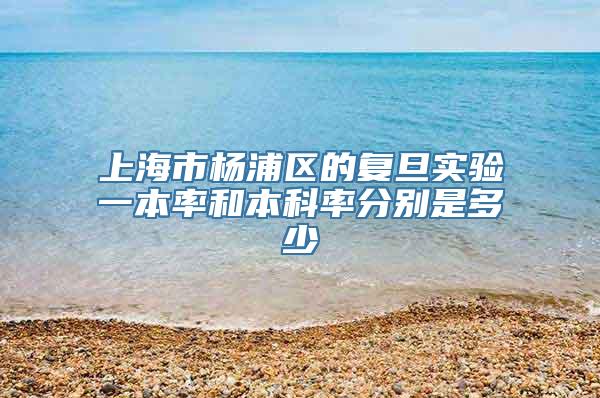 上海市杨浦区的复旦实验一本率和本科率分别是多少