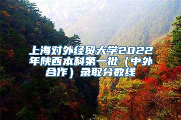 上海对外经贸大学2022年陕西本科第一批（中外合作）录取分数线