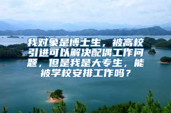 我对象是博士生，被高校引进可以解决配偶工作问题，但是我是大专生，能被学校安排工作吗？