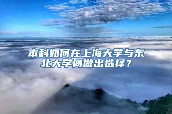 本科如何在上海大学与东北大学间做出选择？