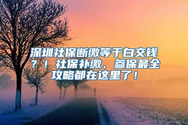 深圳社保断缴等于白交钱？！社保补缴、参保最全攻略都在这里了！