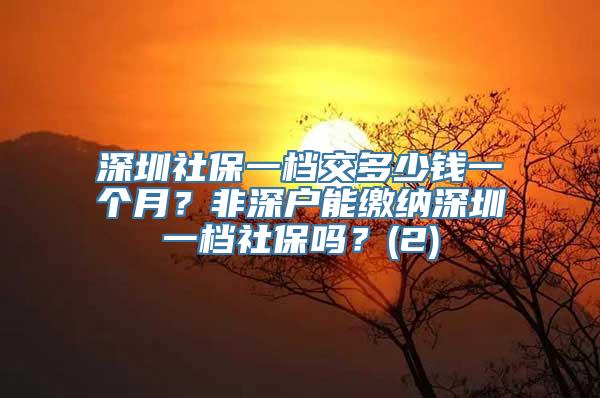 深圳社保一档交多少钱一个月？非深户能缴纳深圳一档社保吗？(2)