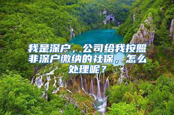 我是深户，公司给我按照非深户缴纳的社保，怎么处理呢？