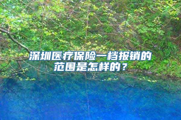 深圳医疗保险一档报销的范围是怎样的？