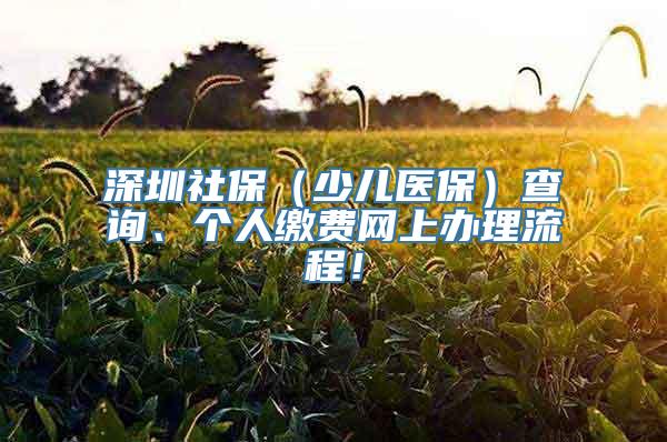 深圳社保（少儿医保）查询、个人缴费网上办理流程！