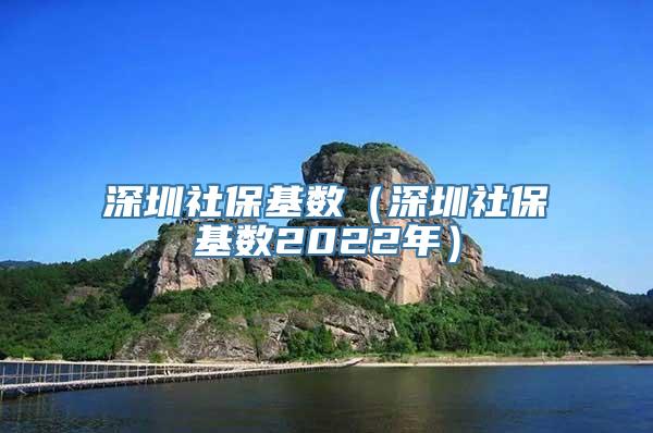 深圳社保基数（深圳社保基数2022年）