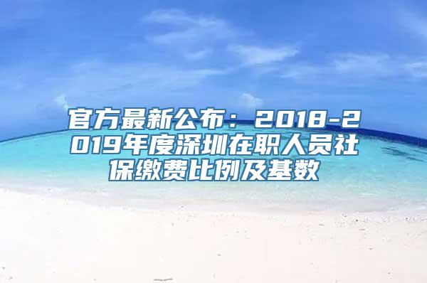 官方最新公布：2018-2019年度深圳在职人员社保缴费比例及基数