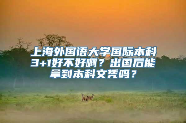 上海外国语大学国际本科3+1好不好啊？出国后能拿到本科文凭吗？