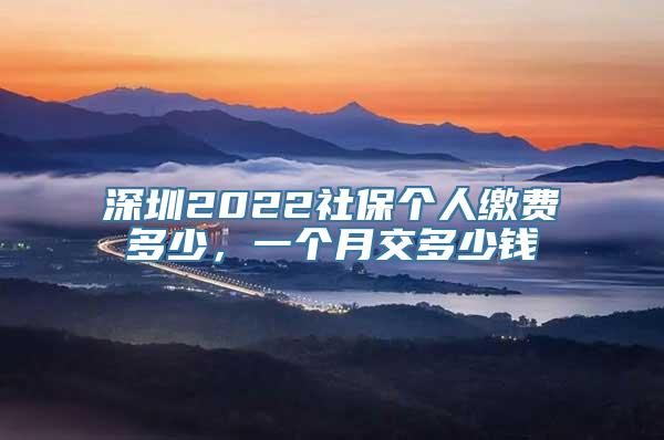 深圳2022社保个人缴费多少，一个月交多少钱