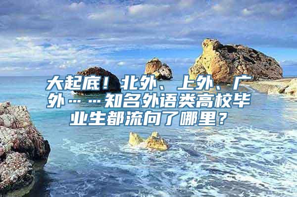 大起底！北外、上外、广外……知名外语类高校毕业生都流向了哪里？