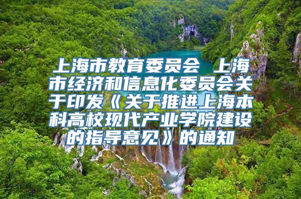 上海市教育委员会 上海市经济和信息化委员会关于印发《关于推进上海本科高校现代产业学院建设的指导意见》的通知