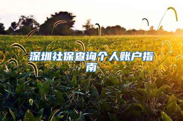 深圳社保查询个人账户指南