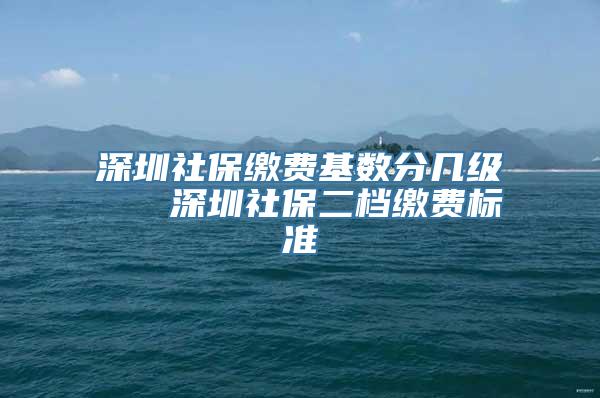 深圳社保缴费基数分几级   深圳社保二档缴费标准